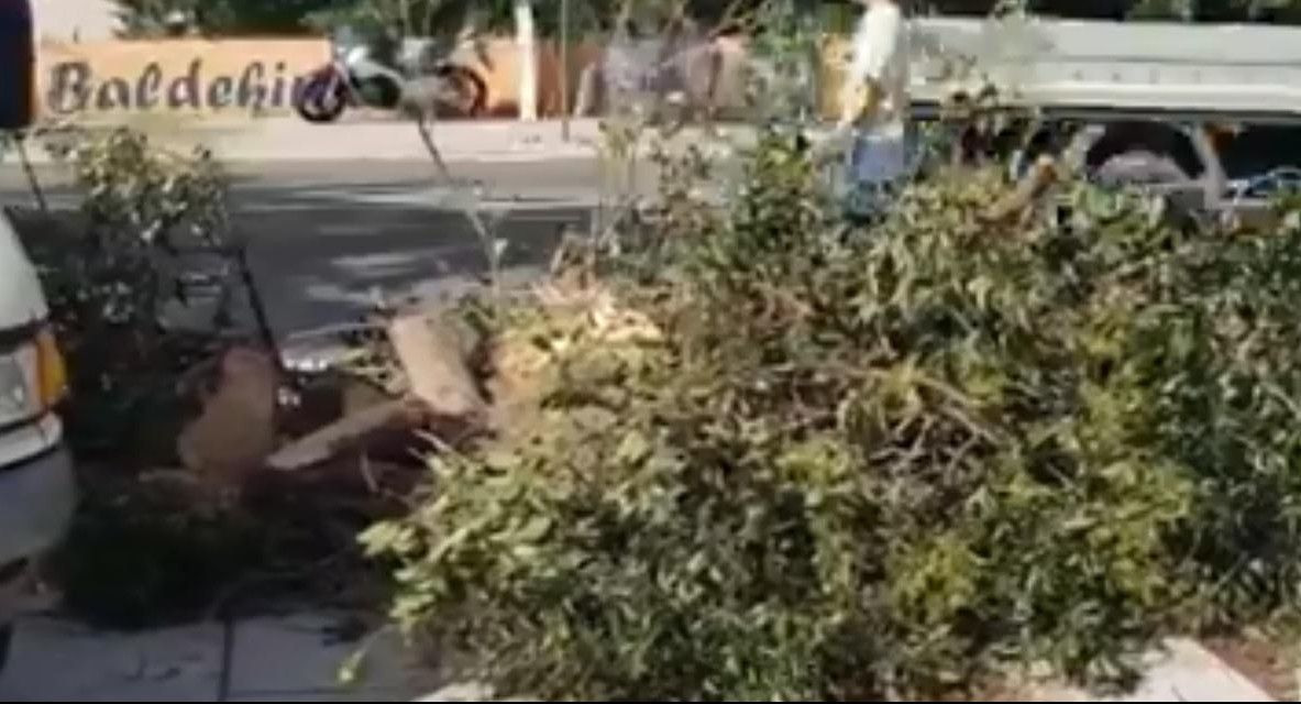 (VIDEO) STRAVIČNO NEVREME U HRVATSKOJ: Poginuo ribar, leteli krovovi, padala stabla! 